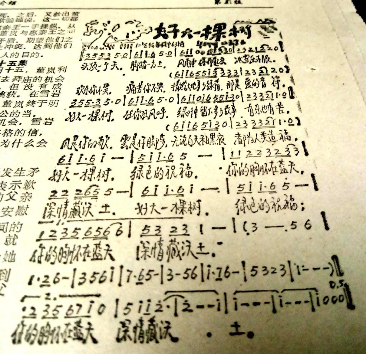 上海壹周电子版，上海壹周电子版湾仔码头水饺广告（我猜，这些事情你都一定干过）