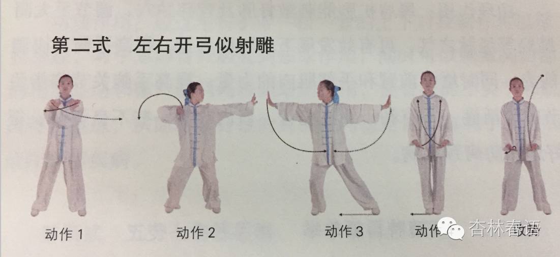 养生保健操视频完整版(养生锻炼健康视频大全)