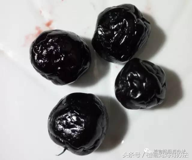 蓝莓李果的功效与作用，蓝莓果的功效作用（揭开蓝莓李果的真面目）