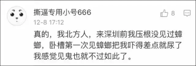 蟑螂为什么会飞，为什么有些蟑螂会飞（南北差异之争，南方加一分）