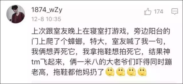 蟑螂为什么会飞，为什么有些蟑螂会飞（南北差异之争，南方加一分）