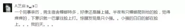 蟑螂为什么会飞，为什么有些蟑螂会飞（南北差异之争，南方加一分）
