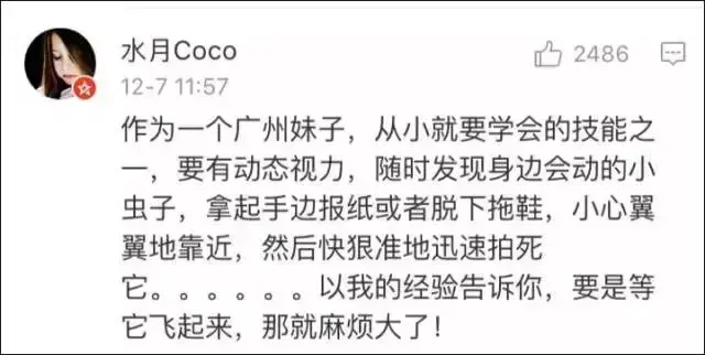 蟑螂为什么会飞，为什么有些蟑螂会飞（南北差异之争，南方加一分）