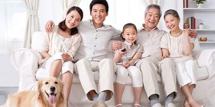 容易让男人当宝贝宠的生肖女，让男人特别爱生肖女（深得婆婆宠爱的生肖女）