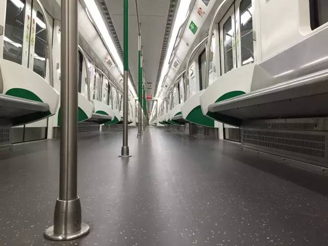 武胜路花鸟市场，武汉最大的花鸟市场在哪（927记者喊你体验地铁6号线武胜路、大智路、琴台站）