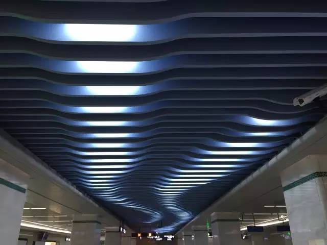 武胜路花鸟市场，武汉最大的花鸟市场在哪（927记者喊你体验地铁6号线武胜路、大智路、琴台站）