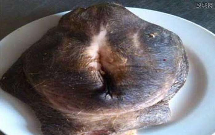 牛欢喜是牛的什么器官?母牛的生値器官