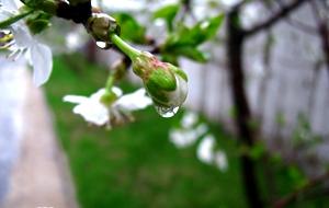 《相爱恨晚》夜蔓，夜蔓的小说有那些哪些（你有没有感同身受）