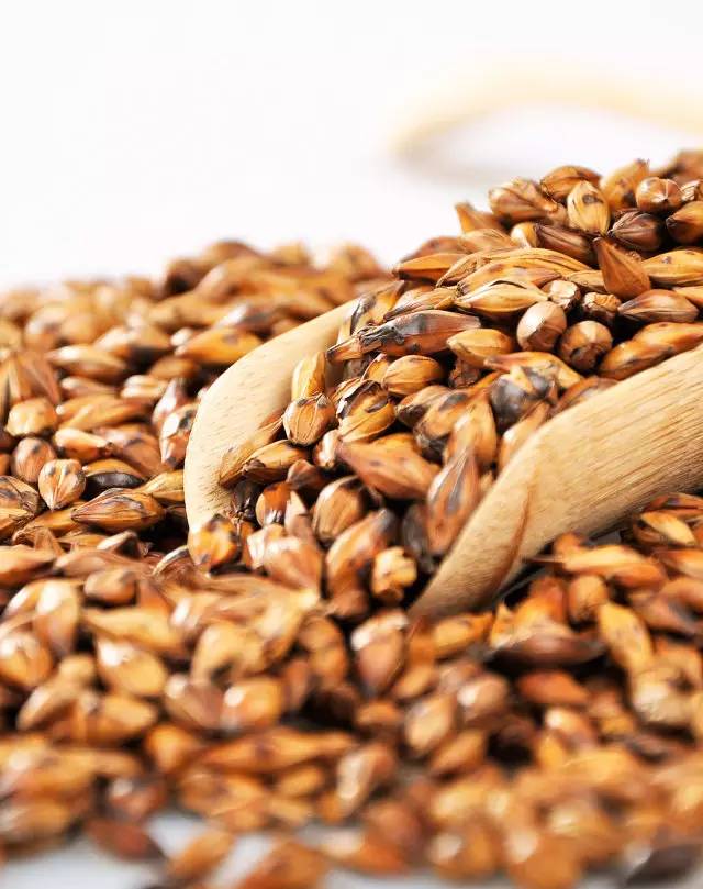 大麦茶能天天喝吗，天天喝大麦茶好吗（这种茶的作用，很少人知道）