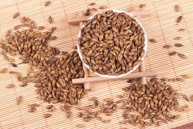 大麦茶能天天喝吗，天天喝大麦茶好吗（这种茶的作用，很少人知道）