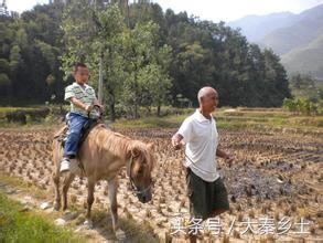 农村户口有什么好处，现在农村户口有什么好处（农村户口、户籍的优势）