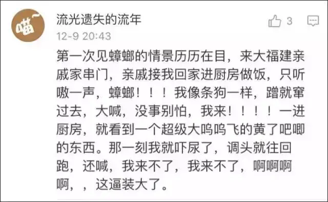 蟑螂为什么会飞，为什么有些蟑螂会飞（南北差异之争，南方加一分）