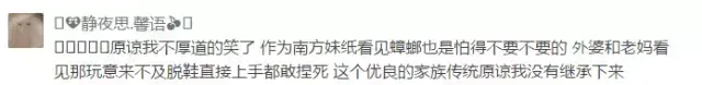 蟑螂为什么会飞，为什么有些蟑螂会飞（南北差异之争，南方加一分）