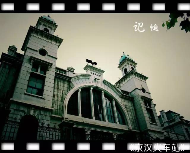 武胜路花鸟市场，武汉最大的花鸟市场在哪（927记者喊你体验地铁6号线武胜路、大智路、琴台站）