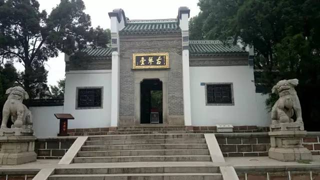 武胜路花鸟市场，武汉最大的花鸟市场在哪（927记者喊你体验地铁6号线武胜路、大智路、琴台站）