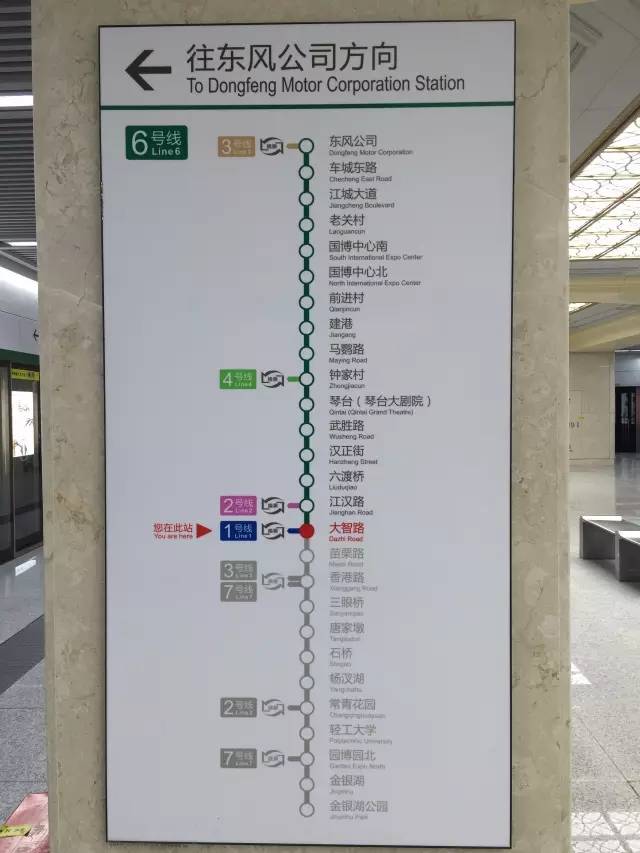 武胜路花鸟市场，武汉最大的花鸟市场在哪（927记者喊你体验地铁6号线武胜路、大智路、琴台站）