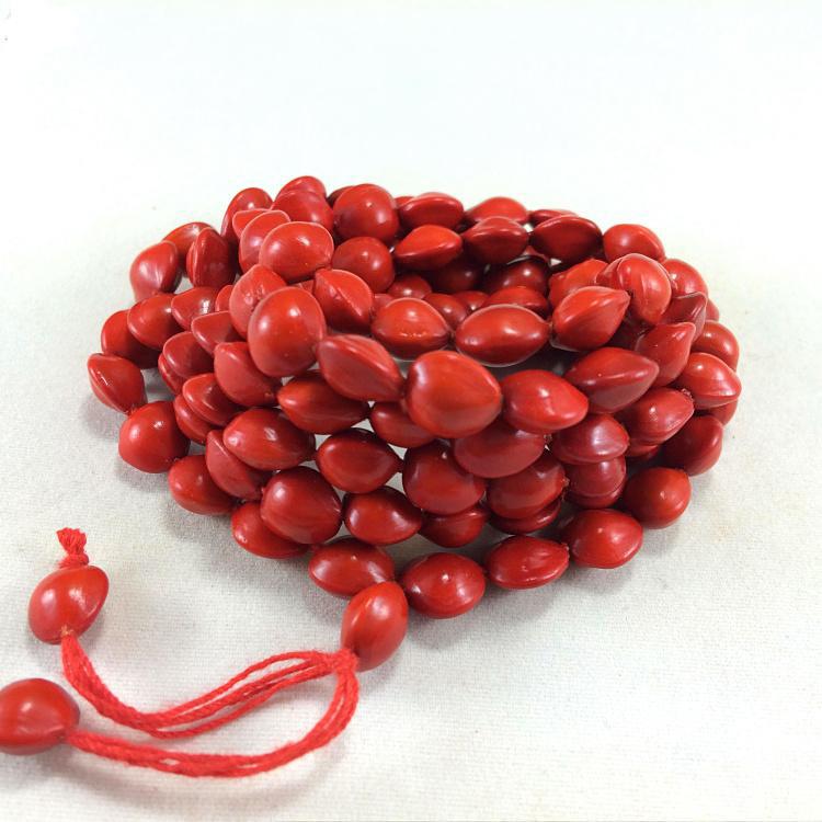 红豆的花语是什么，相思红豆的花语（“红豆”最相思）