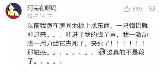 蟑螂为什么会飞，为什么有些蟑螂会飞（南北差异之争，南方加一分）
