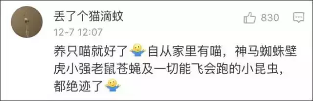 蟑螂为什么会飞，为什么有些蟑螂会飞（南北差异之争，南方加一分）