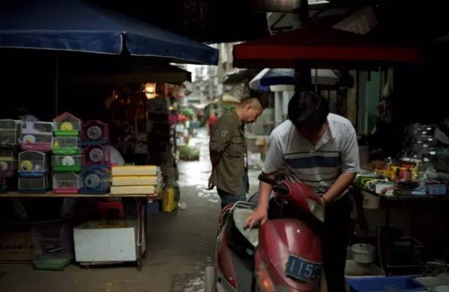 武胜路花鸟市场，武汉最大的花鸟市场在哪（927记者喊你体验地铁6号线武胜路、大智路、琴台站）