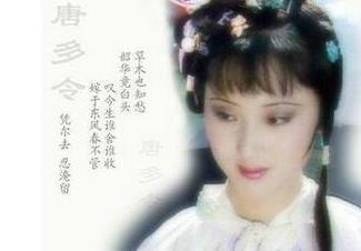 蝴蝶风筝的寓意是什么，蝴蝶风筝寓意着什么（早已暗示这几位红楼女子一生的结局）