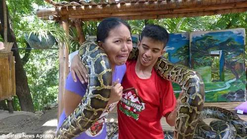 蟒蛇活吞美女，蟒蛇生吞美女子（美女被4条缅甸巨蟒缠绕）