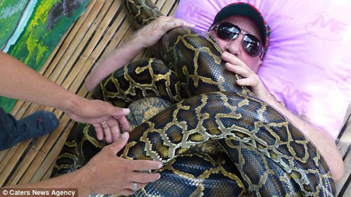 蟒蛇活吞美女，蟒蛇生吞美女子（美女被4条缅甸巨蟒缠绕）