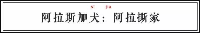 汪星人是什么意思，喵星人和汪星人是什么意思（你最爱的9种狗狗的外号）