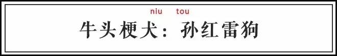 汪星人是什么意思，喵星人和汪星人是什么意思（你最爱的9种狗狗的外号）