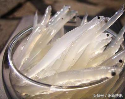 黄石特产有哪些土特产，黄石特产有哪些土特产图片（你不知道的阳新十大特产）