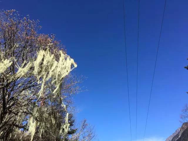 毕棚沟二月份天气冷吗，毕棚沟二月份天气冷吗多少度（滑雪、泡温泉、打雪仗一个地方就搞定）