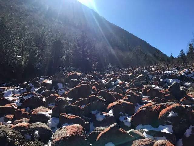 毕棚沟二月份天气冷吗，毕棚沟二月份天气冷吗多少度（滑雪、泡温泉、打雪仗一个地方就搞定）