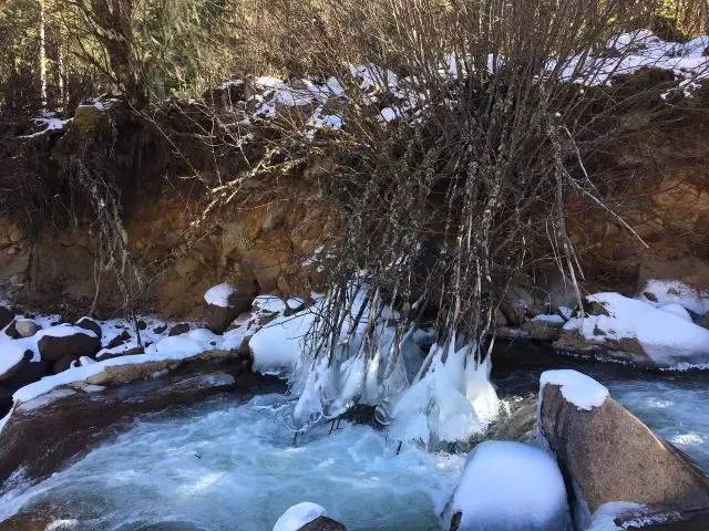 毕棚沟二月份天气冷吗，毕棚沟二月份天气冷吗多少度（滑雪、泡温泉、打雪仗一个地方就搞定）