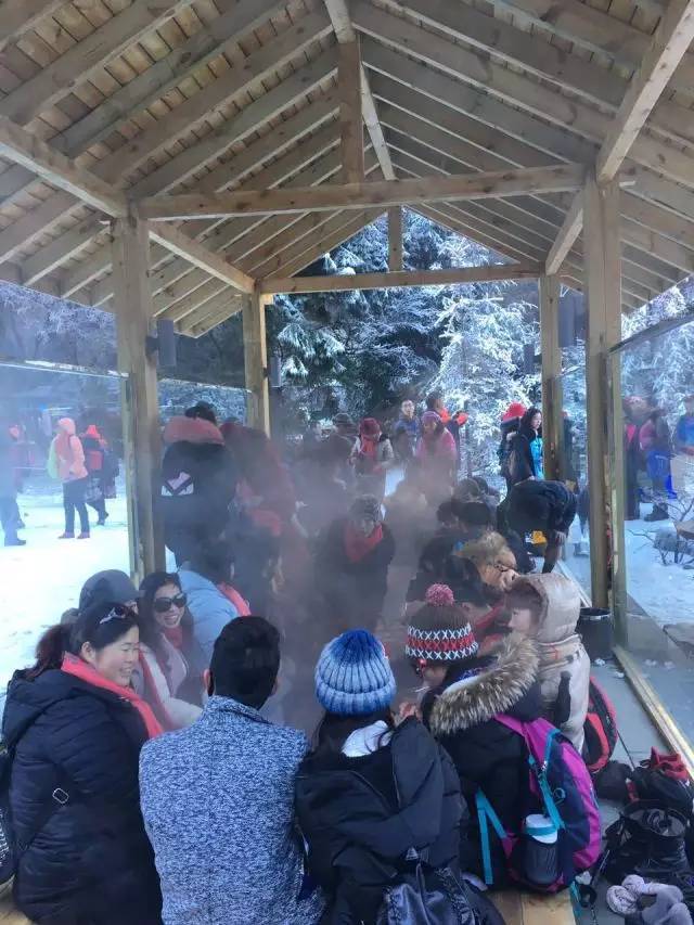 毕棚沟二月份天气冷吗，毕棚沟二月份天气冷吗多少度（滑雪、泡温泉、打雪仗一个地方就搞定）