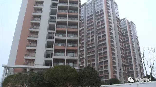 雅安大兴家电维修附近租房 「民生工程」雅安雨城：大兴公租房项目建设顺利推进 即将竣工验收