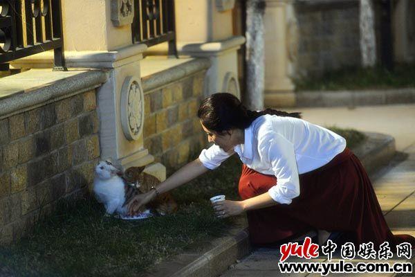 曾黎主演的电视剧，曾黎演过的电视剧（《真心想让你幸福》收官）