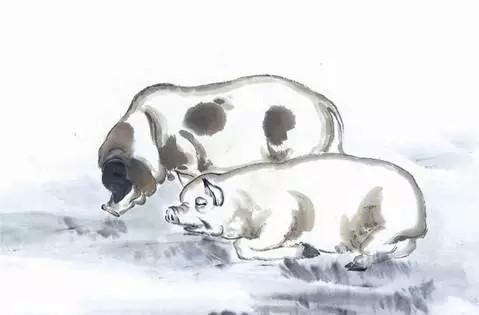 孕妇梦见橘子是胎梦吗，孕妇梦到橘子什么意思（说说那些稀奇古怪的胎梦）