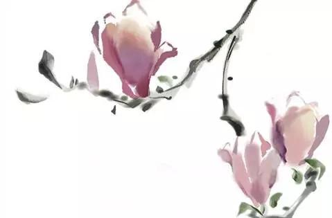 孕妇梦见橘子是胎梦吗，孕妇梦到橘子什么意思（说说那些稀奇古怪的胎梦）