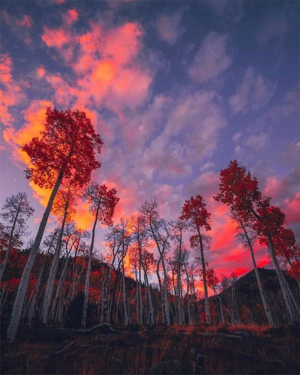 双子座的吉祥物，2022双子座幸运石守护石（史上最全双子座信息）