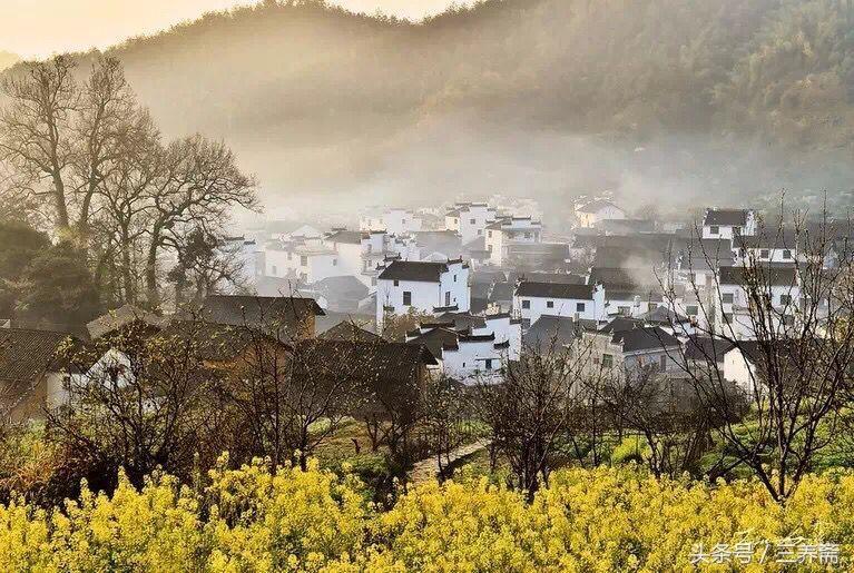 回文联大全，回文联大全9字（奇特的“回文联”——你不一定见过）