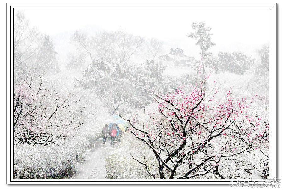 回文联大全，回文联大全9字（奇特的“回文联”——你不一定见过）