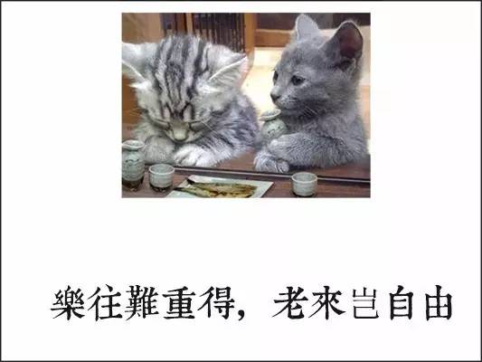 夸人的顺口溜，顺口溜大全100首搞笑（古人竟然用这些招劝酒）