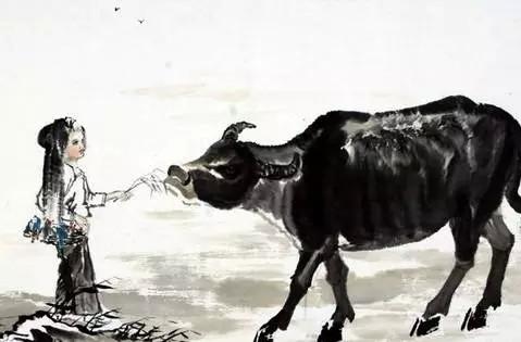 孕妇梦见橘子是胎梦吗，孕妇梦到橘子什么意思（说说那些稀奇古怪的胎梦）