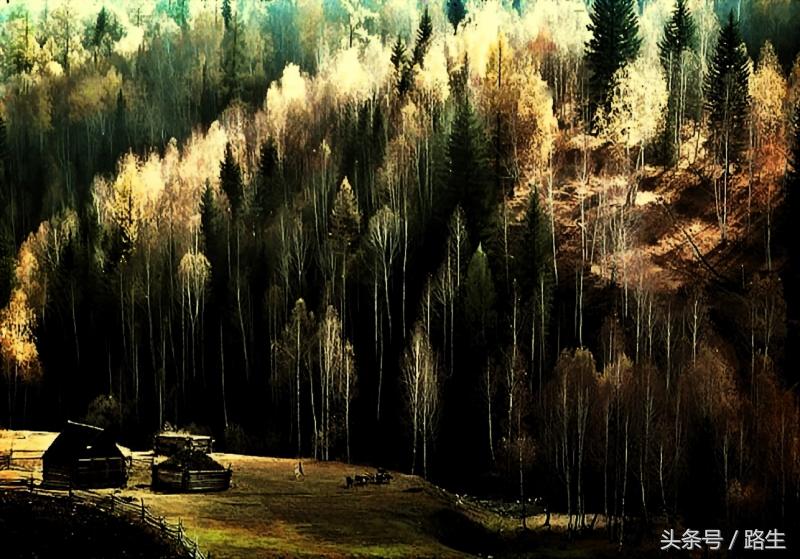 突厥族是现在哪个民族，契丹族是现在哪个民族（为什么说维吾尔族与突厥族没关系）