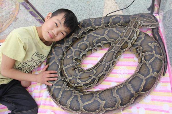 孕妇梦见钓鱼有什么征兆，孕妇梦见钓鱼有什么征兆吗（梦到这些你就该小心了）