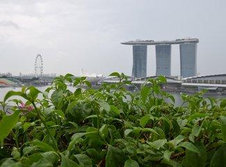 云服务vivo账号登录，vivo云服务如何登录（去抓住夏天的尾巴--WSM大魔王坡县纪行）