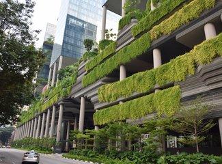 云服务vivo账号登录，vivo云服务如何登录（去抓住夏天的尾巴--WSM大魔王坡县纪行）