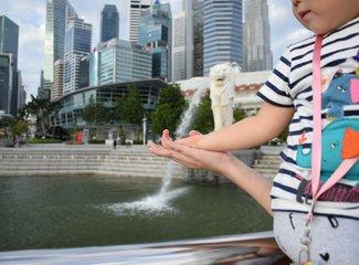 云服务vivo账号登录，vivo云服务如何登录（去抓住夏天的尾巴--WSM大魔王坡县纪行）