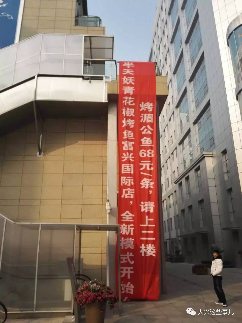 湄公鱼是什么鱼，湄公鱼是海鱼还是河鱼（半天妖又开一家新店）
