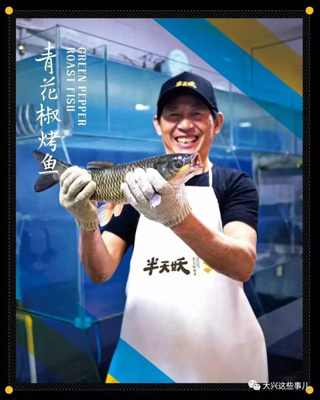 湄公鱼是什么鱼，湄公鱼是海鱼还是河鱼（半天妖又开一家新店）